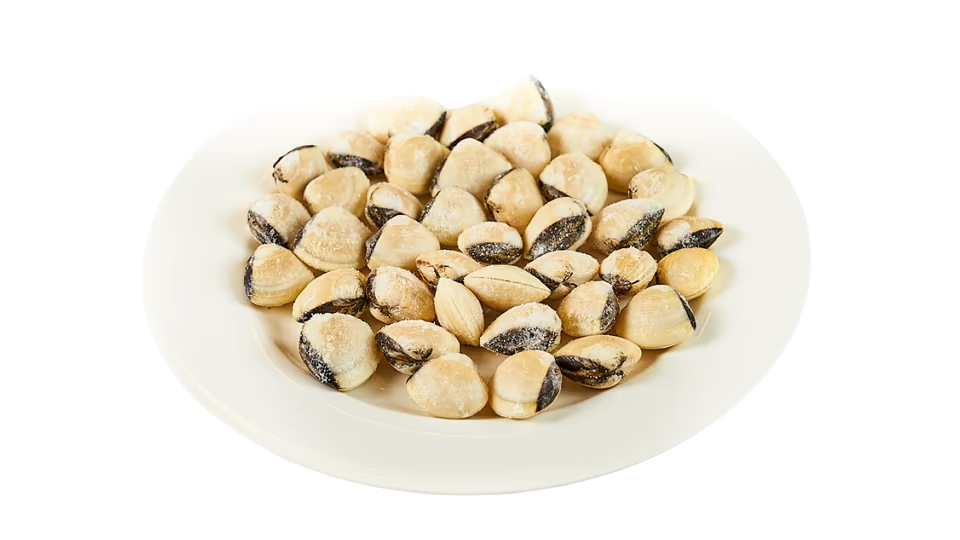 VONGOLE CIJELE